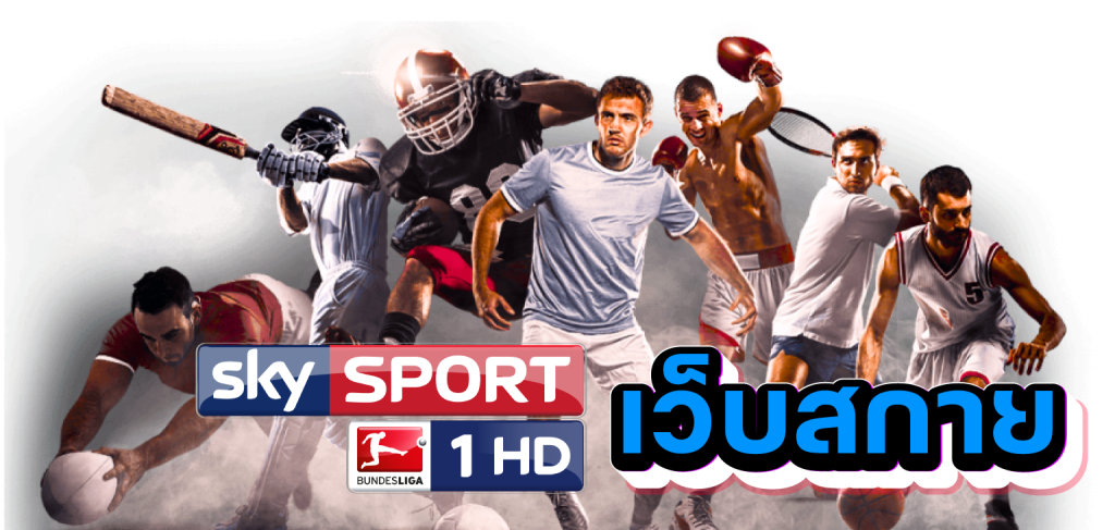 เว็บสกาย